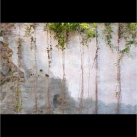 Muri - Andrea Macis