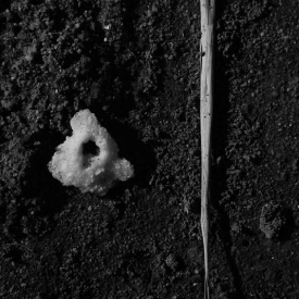 #FFFFFF #000000 - Matteo Pispisa